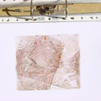 Monotypien und Experimente